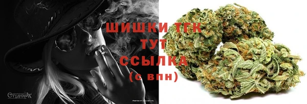 СК Арсеньев