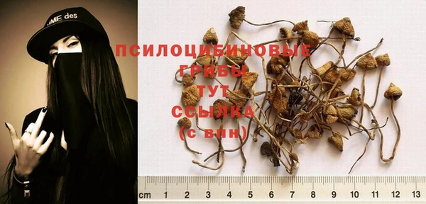 СК Арсеньев